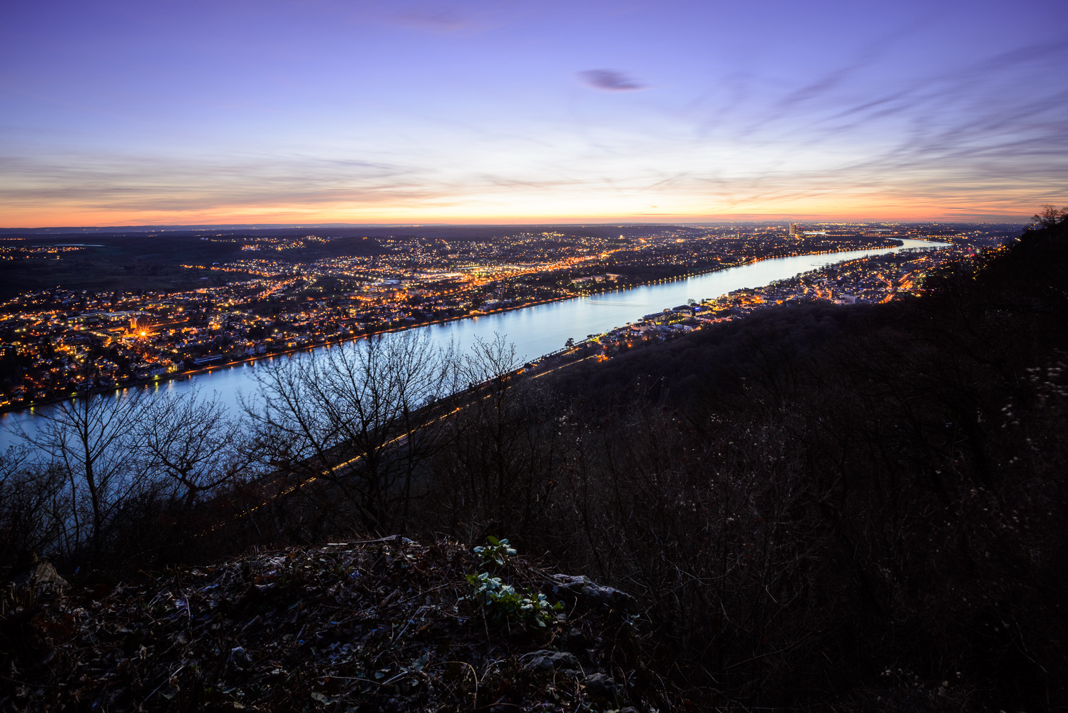 drachenfels, bonn, rhein, burg