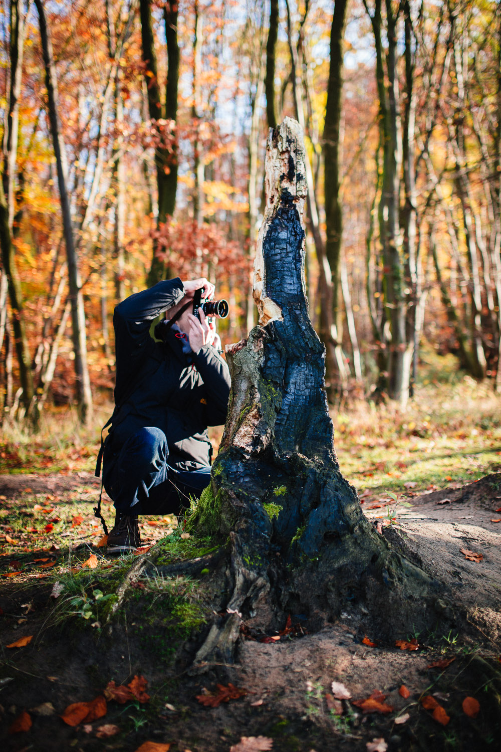 herbst bonn spaziergang dornheckensee