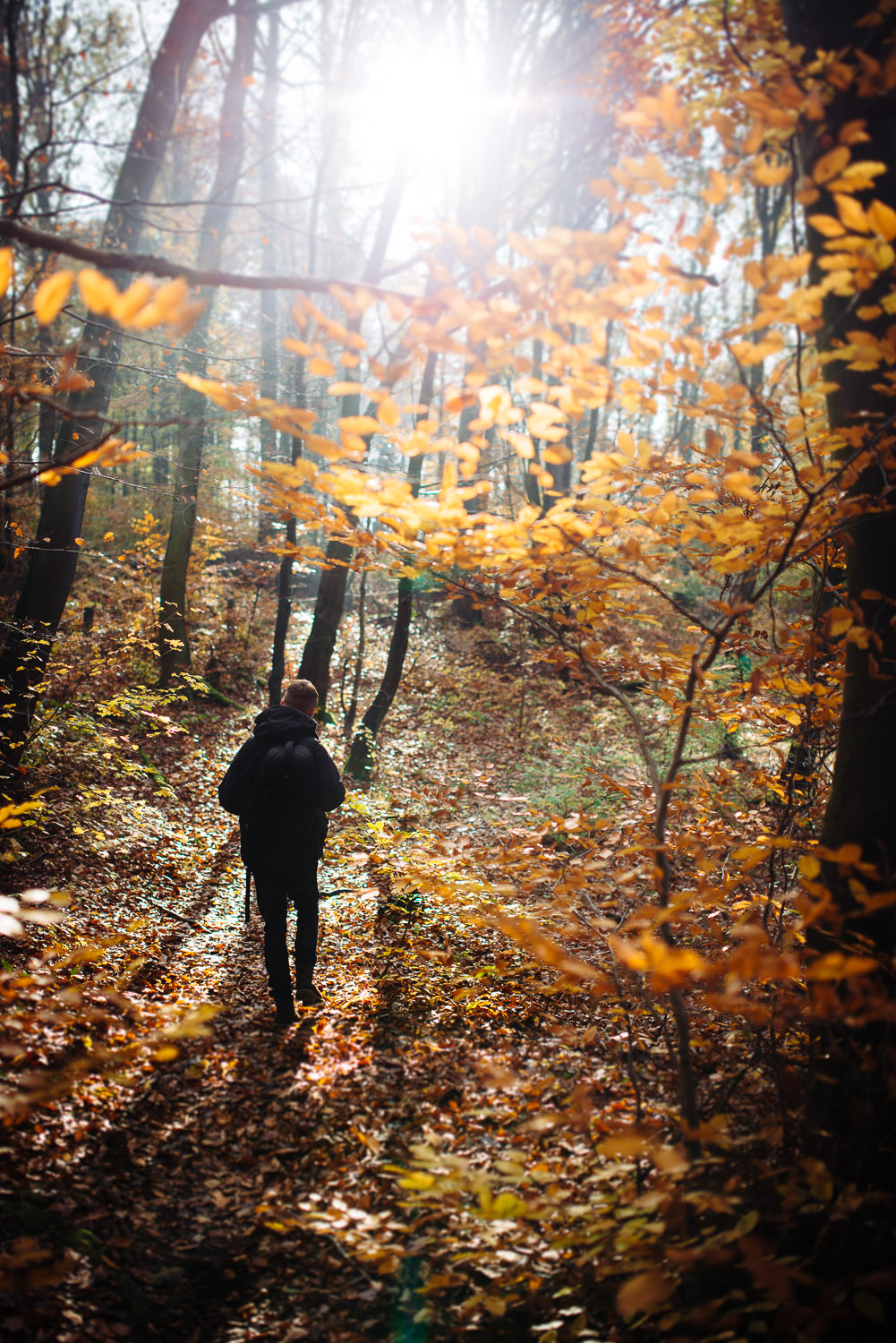 herbst bonn spaziergang dornheckensee